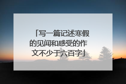 写一篇记述寒假的见闻和感受的作文不少于六百字