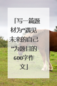 写一篇题材为“遇见未来的自己”为题目的600字作文