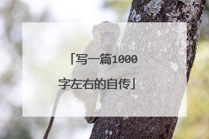 写一篇1000字左右的自传
