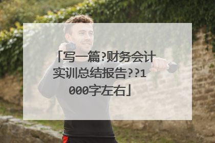 写一篇?财务会计实训总结报告??1000字左右