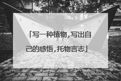 写一种植物,写出自己的感悟,托物言志