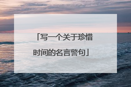 写一个关于珍惜时间的名言警句