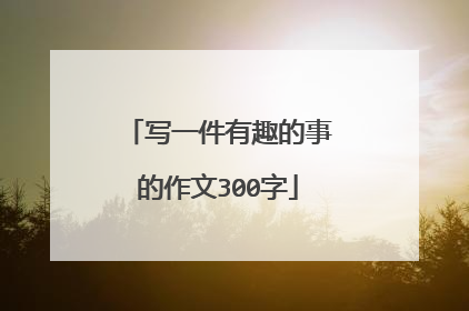 写一件有趣的事的作文300字