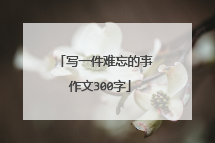 写一件难忘的事作文300字