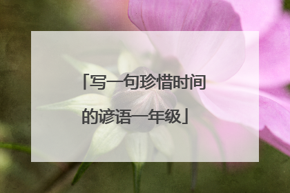 写一句珍惜时间的谚语一年级