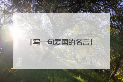 写一句爱国的名言