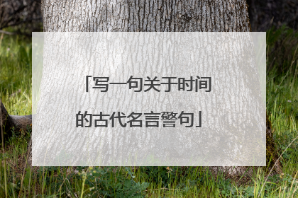 写一句关于时间的古代名言警句