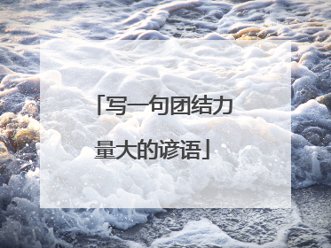 写一句团结力量大的谚语