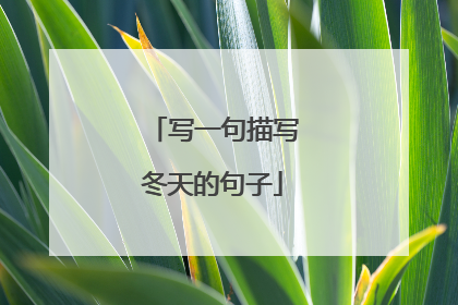 写一句描写冬天的句子