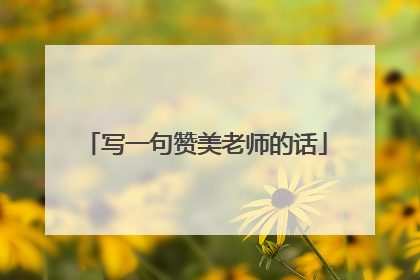 写一句赞美老师的话