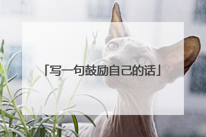 写一句鼓励自己的话
