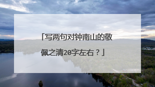 写两句对钟南山的敬佩之清20字左右?