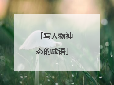 写人物神态的成语