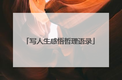 写人生感悟哲理语录