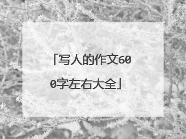 写人的作文600字左右大全