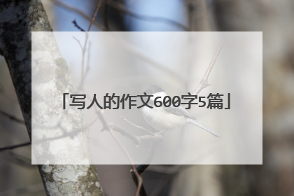 写人的作文600字5篇