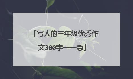 写人的三年级优秀作文300字一一急
