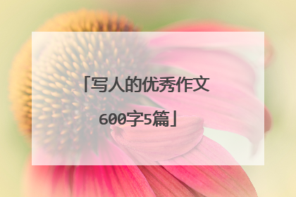 写人的优秀作文600字5篇