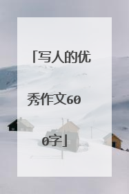 写人的优秀作文600字