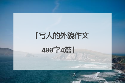 写人的外貌作文400字4篇