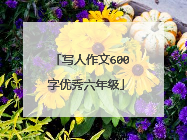 写人作文600字优秀六年级