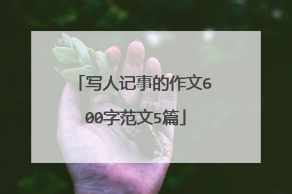 写人记事的作文600字范文5篇