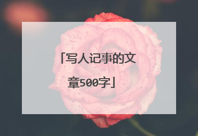写人记事的文章500字