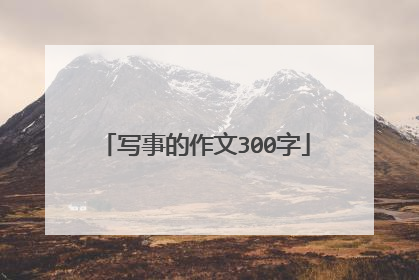 写事的作文300字