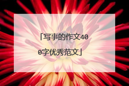 写事的作文400字优秀范文