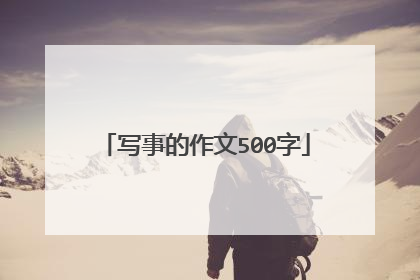 写事的作文500字