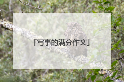 写事的满分作文