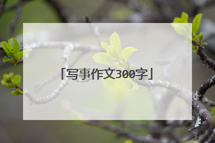 写事作文300字