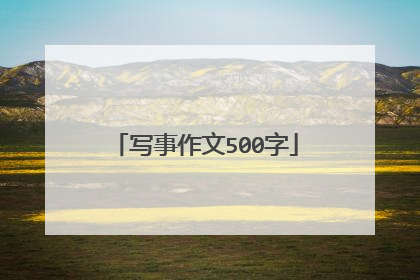 写事作文500字