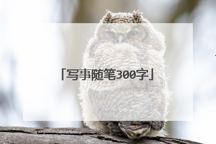 写事随笔300字
