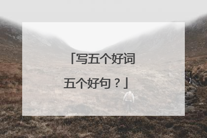 写五个好词五个好句？