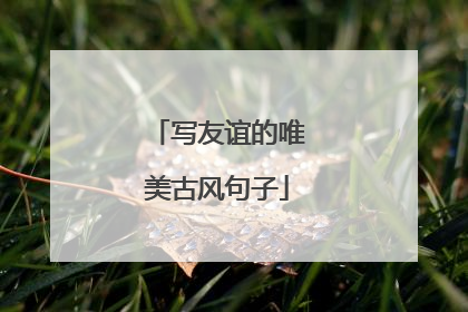 写友谊的唯美古风句子