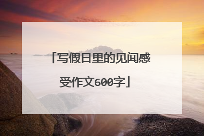 写假日里的见闻感受作文600字