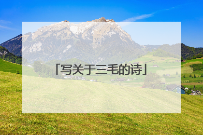 写关于三毛的诗