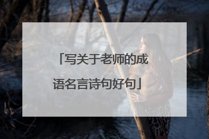 写关于老师的成语名言诗句好句