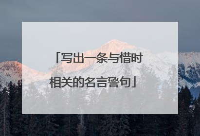 写出一条与惜时相关的名言警句