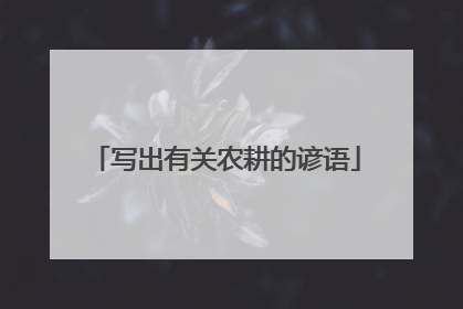 写出有关农耕的谚语