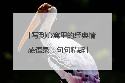 写到心窝里的经典情感语录，句句精辟