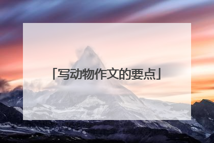 写动物作文的要点