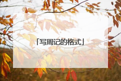 写周记的格式
