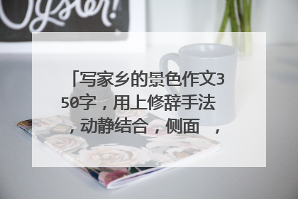 写家乡的景色作文350字，用上修辞手法，动静结合，侧面 ，总——分……描写