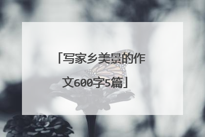 写家乡美景的作文600字5篇