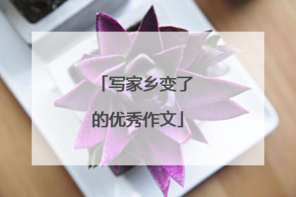 写家乡变了的优秀作文