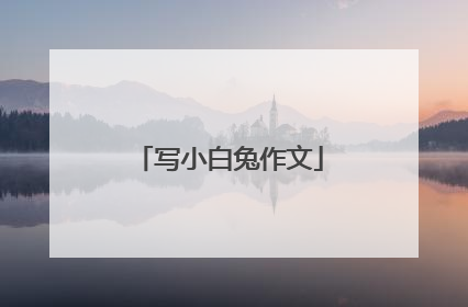 写小白兔作文