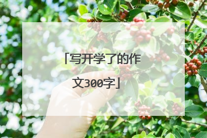 写开学了的作文300字