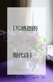 写感恩的现代诗